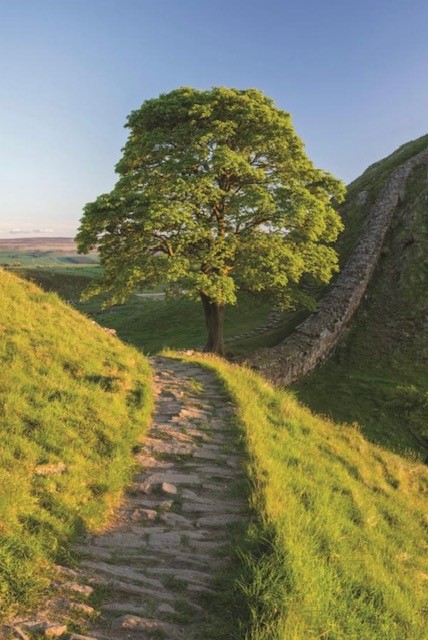 Hadrian's Wall Path Hike